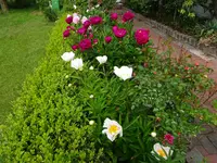 DSC01044.JPG