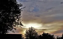 2020hmml09.webp