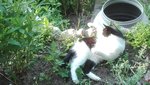 IMG_20200529_184223.jpg