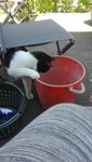 IMG_20200601_131241.jpg