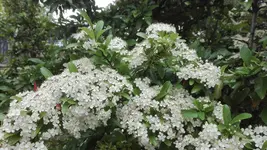 IMG_20200604_180546.webp