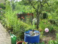 IMG_7170.webp