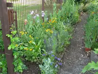 IMG_7169.webp