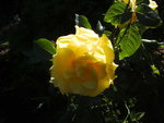 BILD1690.JPG