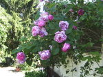 BILD1692.JPG