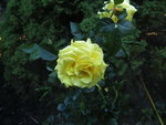 BILD1699.JPG