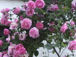BILD1702.JPG