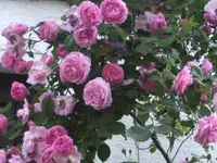 BILD1702.webp