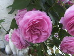 BILD1705.JPG