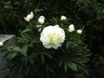 BILD1706.JPG