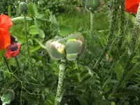 BILD1708.webp