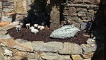 DSC03072.JPG