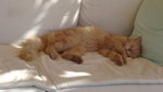 DSC03113.JPG