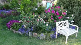 DSC03058.JPG