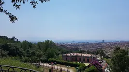 20190704_122255.webp