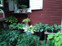 20200606_133510.webp