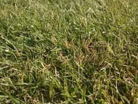 IMG_20200606_190029.webp