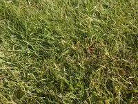 IMG_20200606_190032.webp