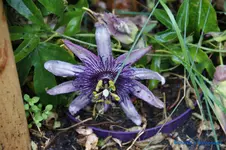 comp_DSC08973.webp