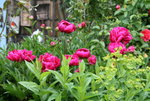 Juni   0320.JPG