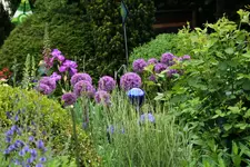Juni   0520.webp