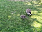 IMG_20200531_163138_1.jpg