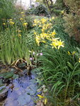 20200606_204152.jpg
