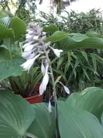 20200606_202612.webp