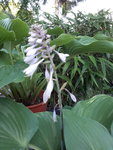 20200606_202612.jpg