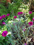 20200606_093354.jpg