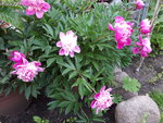 20200606_200927.jpg