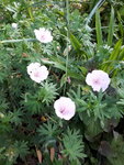 20200606_163011.jpg