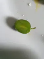 Hängende Frucht.jpg