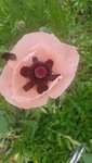 20200607_115907.jpg