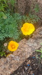 20200607_120231.jpg