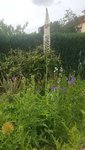 20200607_120025.jpg