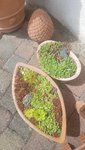 20200607_120652.jpg