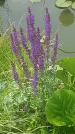 20200607_120149.webp
