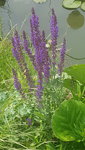 20200607_120149.jpg