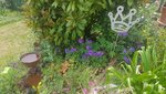 20200607_115834.jpg