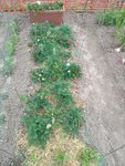 IMG_20200605_174350.jpg