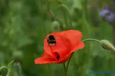 comp_DSC08982.webp