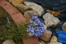 comp_DSC08975.webp