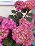 20200607_144022.jpg
