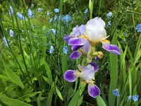 DSCF2250 (2).webp