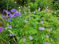 DSCF3634 (2).webp