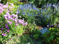 DSCF3621 (2).webp