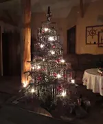 IMG_4913 v (2).webp
