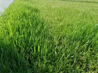 IMG_20200608_185629.webp