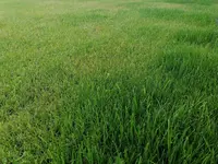IMG_20200608_185619.webp